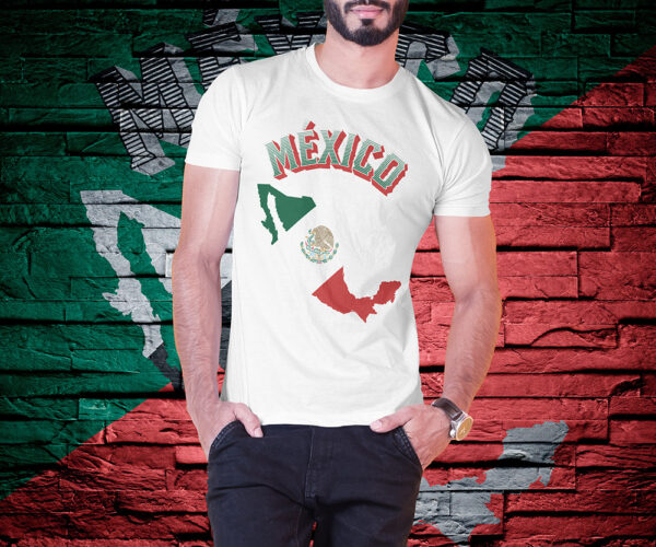 AkkenStudio070720-06 FIESTAS PATRIAS