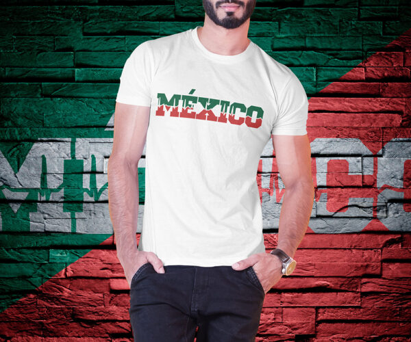 AkkenStudio070720-07 FIESTAS PATRIAS