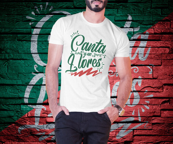 AkkenStudio070720-28 FIESTAS PATRIAS