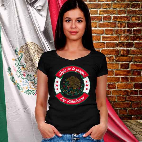 AkkenStudio140818-06 FIESTAS PATRIAS