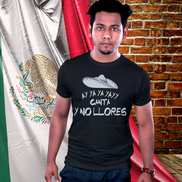 AkkenStudio140818-14 FIESTAS PATRIAS