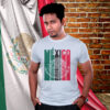 AkkenStudio140818-36 FIESTAS PATRIAS
